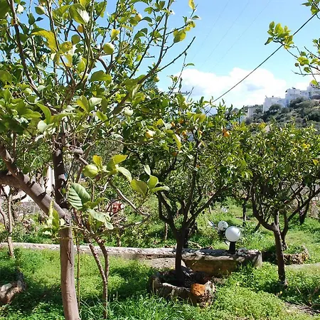 Italiana Aparthotel Amoudara (Lasithi)
